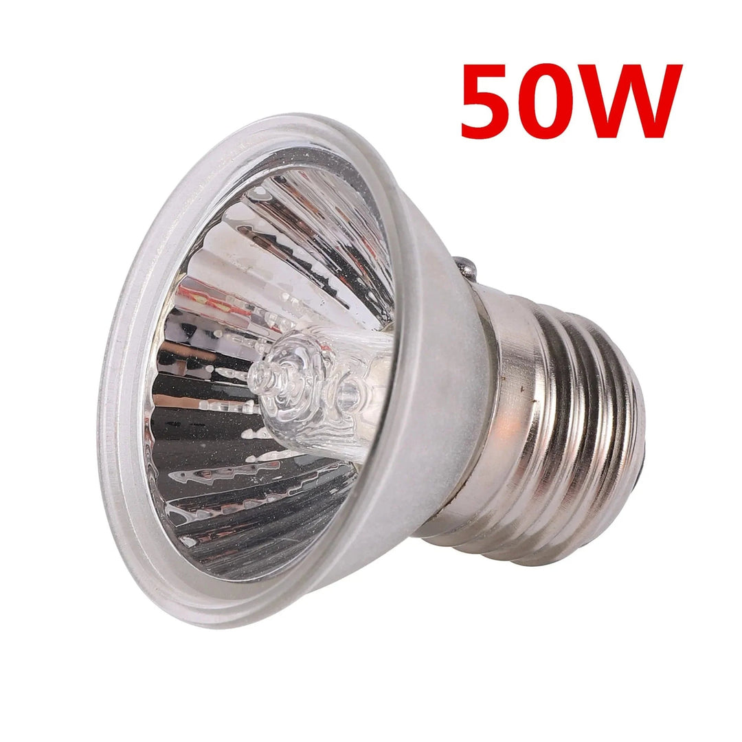 Lampe UVA UVB Compacte Pour Reptiles Diurnes 7