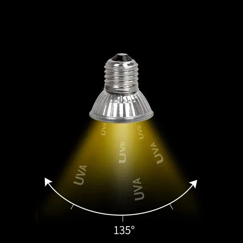 Lampe UVA + UVB Pour Reptiles 25W 50W 75W 2
