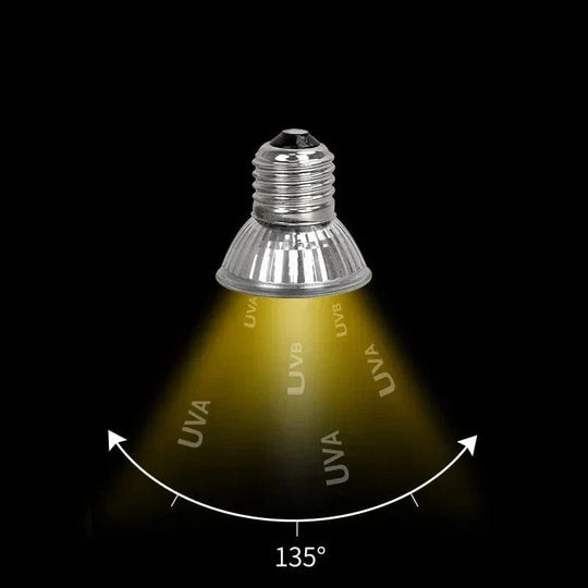 Lampe UVA + UVB Pour Reptiles 25W 50W 75W 2