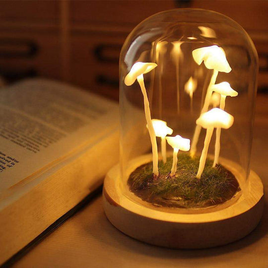 Lampe à Champignons Bricolage Enchantée 0