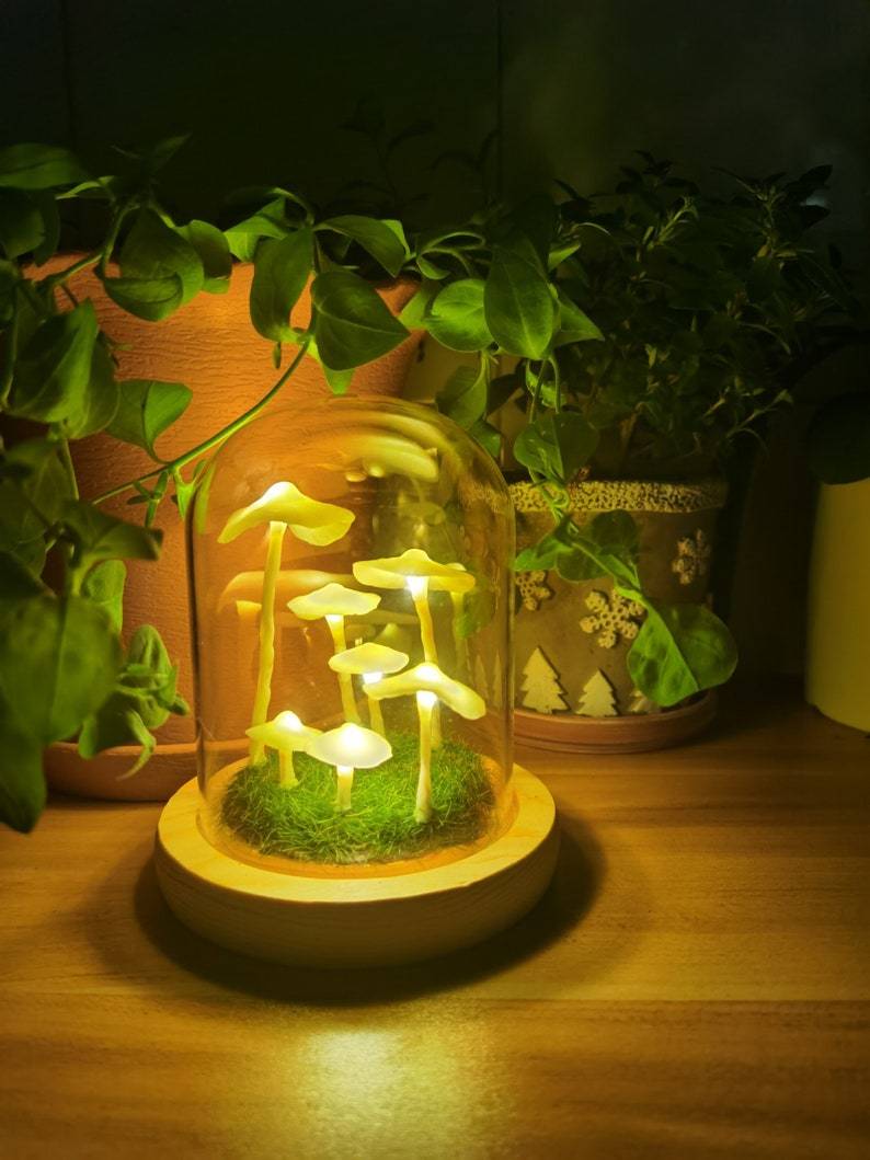 Lampe à Champignons Bricolage Enchantée 7