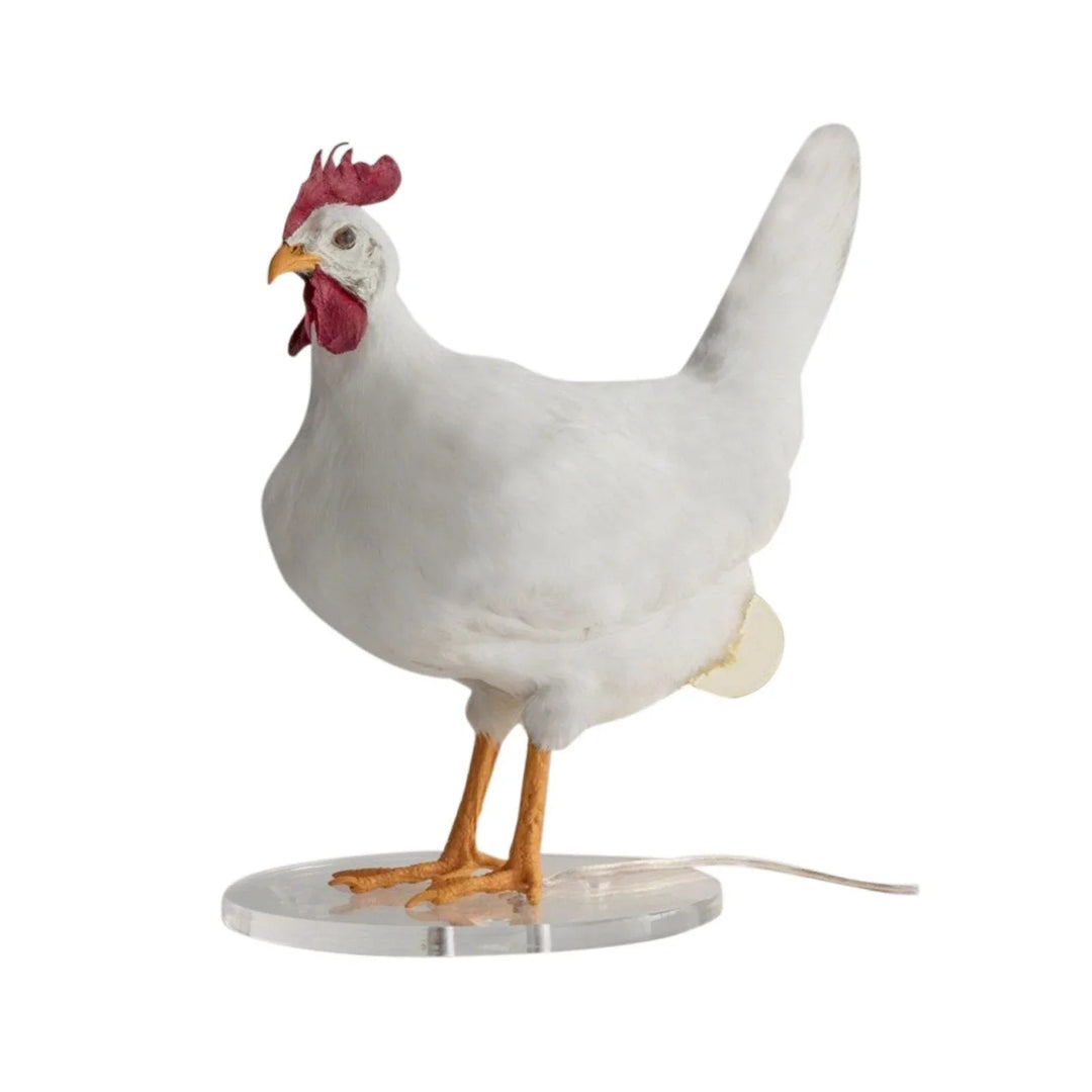 Lampe à Poule Originale et Ludiques 0