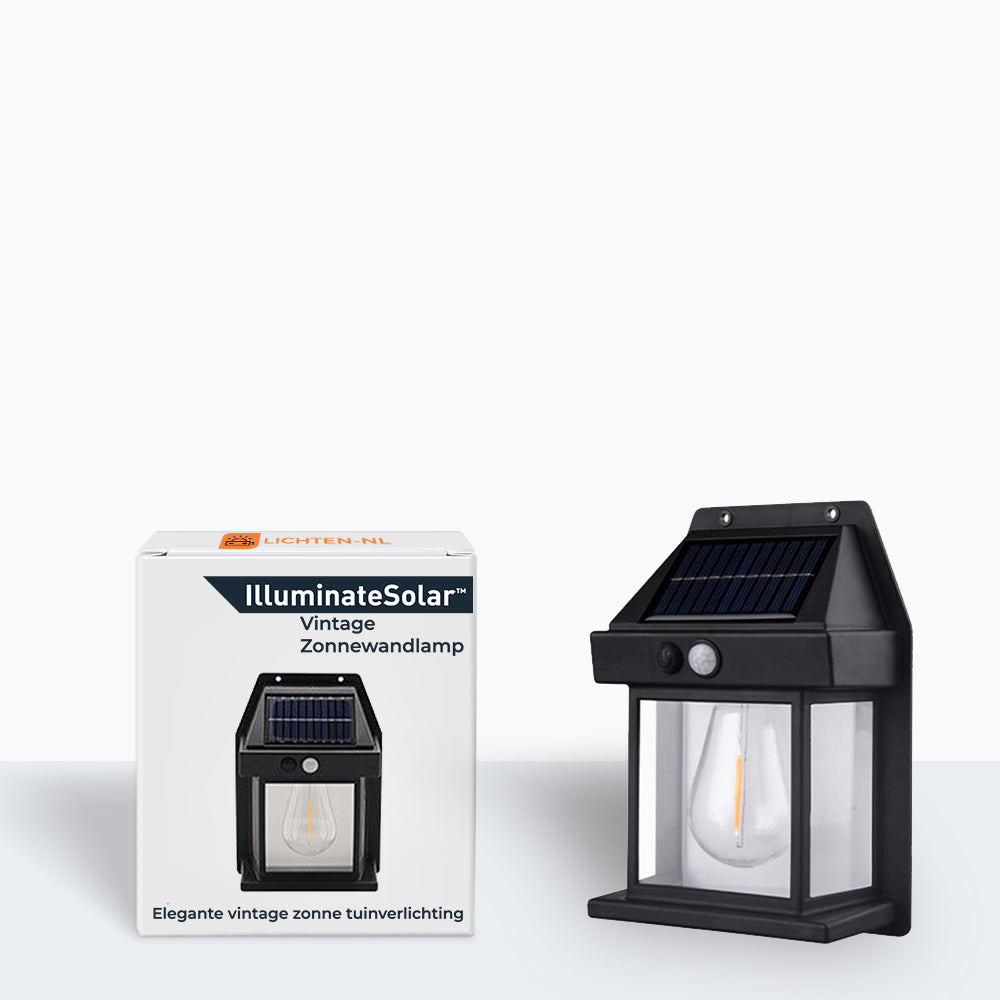 Lampe d'extérieur Solaire Rétro avec Détecteur de Mouvement 2