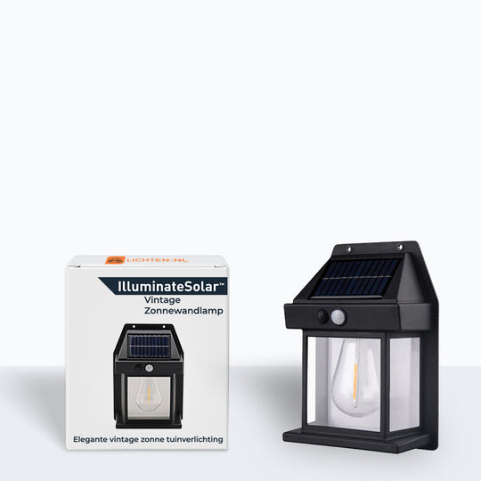 Lampe d'extérieur Solaire Rétro avec Détecteur de Mouvement 2