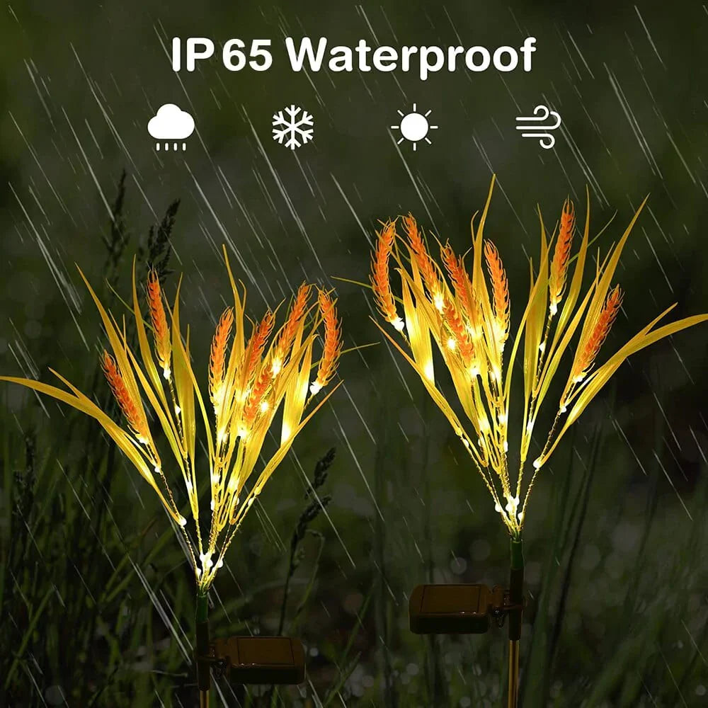 Lampes Solaires en Forme d'Épi de Blé - Paquet de 2 5