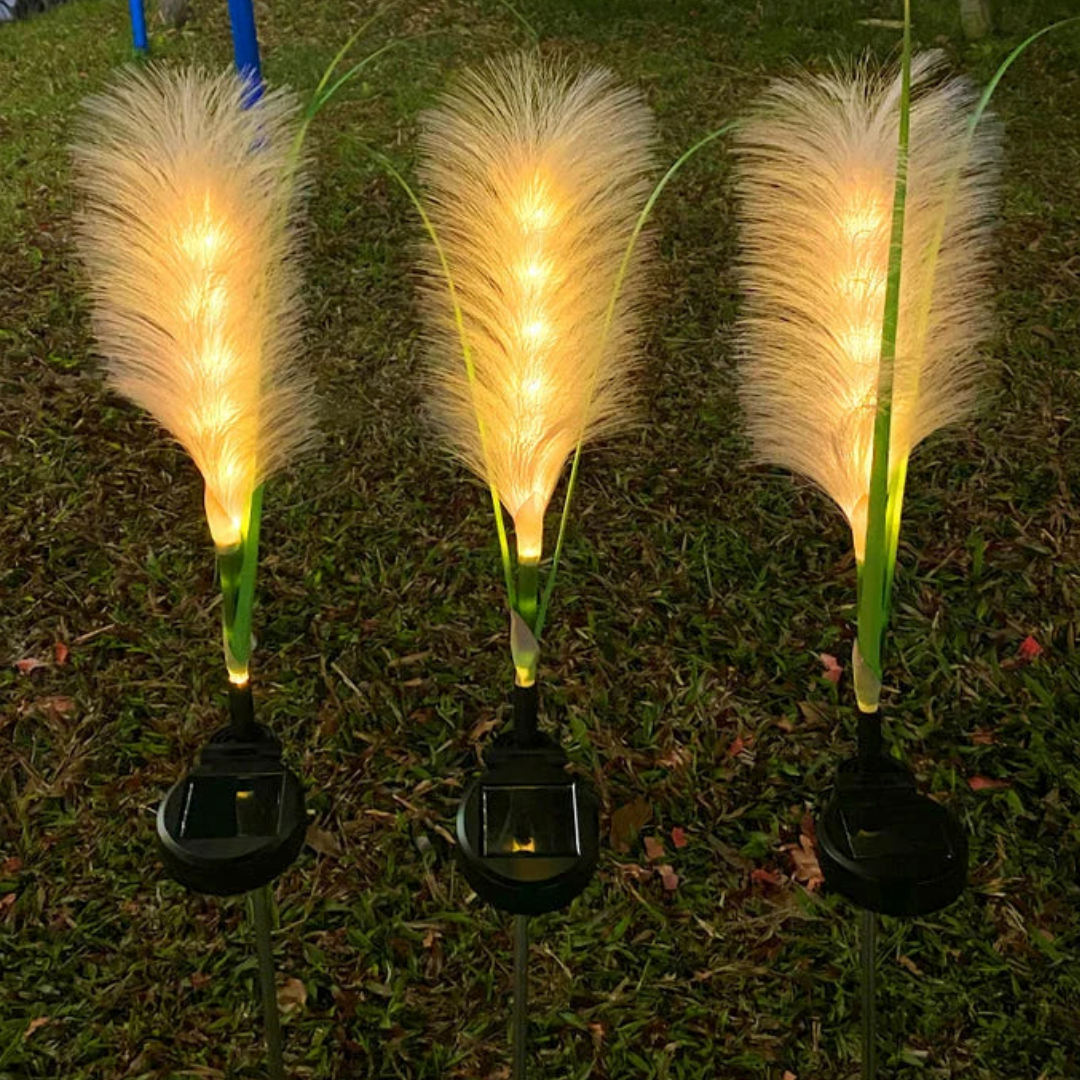 Lampes de Jardin Solaire Décoratives 0