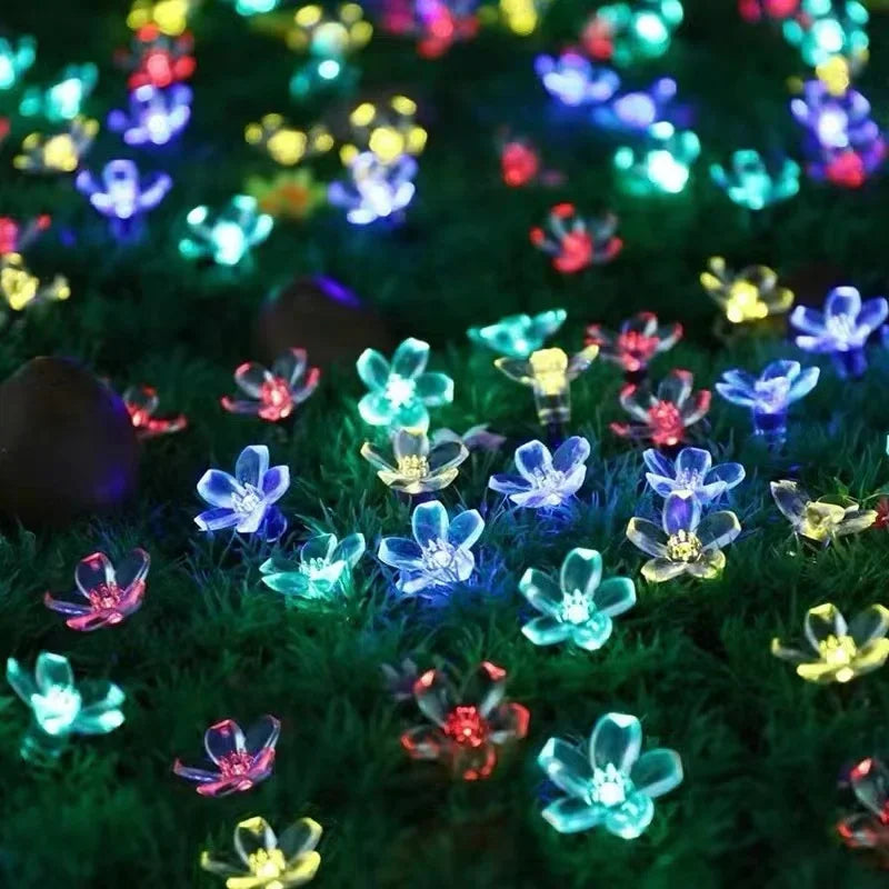 Lampes de Jardin Solaire Décoratives 2