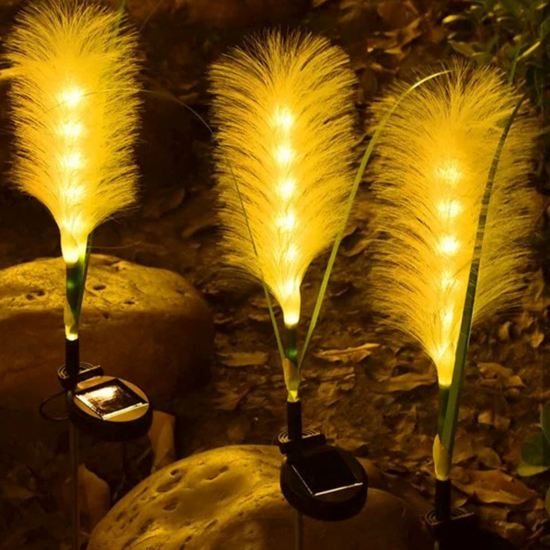 Lampes de Jardin Solaire Décoratives 2