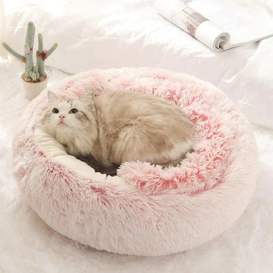 Lit Pour Chat Douillet Avec Coussin Confortable et Design Semi-Fermé 2