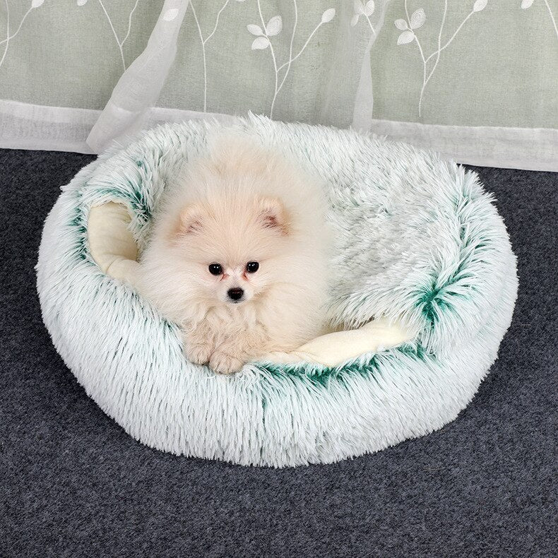 Lit Pour Chat Douillet Avec Coussin Confortable et Design Semi-Fermé 7
