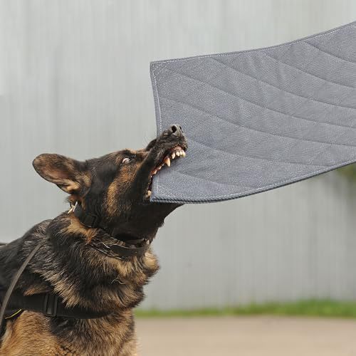 Lit Pour Chien Confortable Avec Tapis D'Entraînement Pratique 0