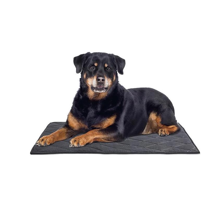 Lit Pour Chien Confortable Avec Tapis D'Entraînement Pratique 2