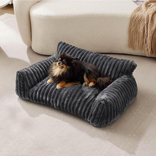 Lit Pour Chien Douillet Profilé Avec Design Moderne 0
