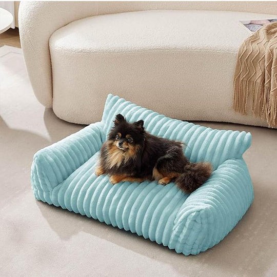 Lit Pour Chien Douillet Profilé Avec Design Moderne 1