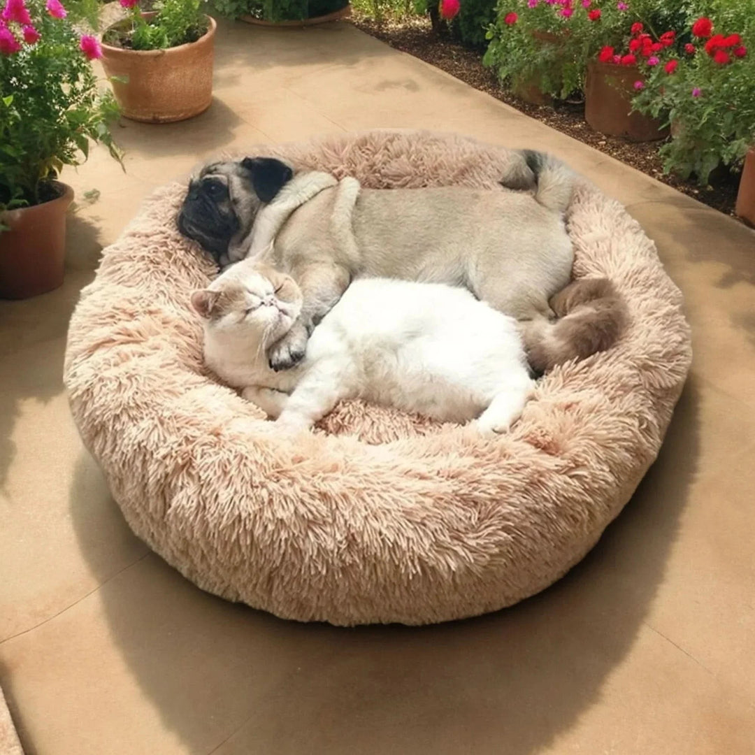 Lit Pour Chien Doux Avec Bord Surélevé Pour Confort Optimal 3