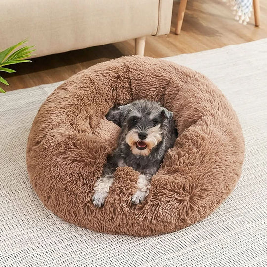 Lit Pour Chien Doux Avec Bord Surélevé Pour Confort Optimal 5