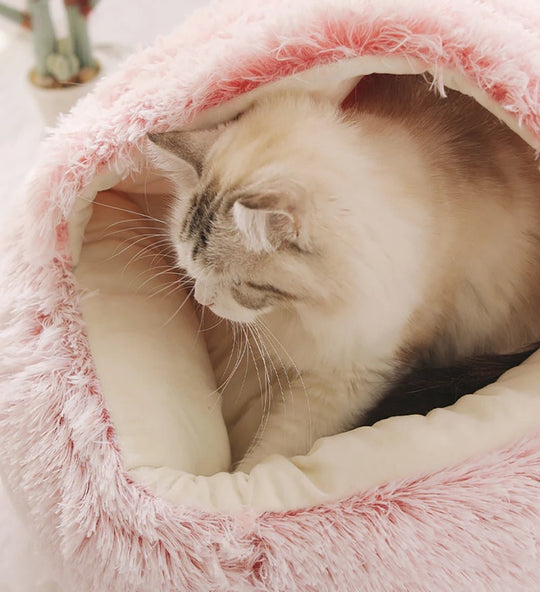 Lit Pour Chien Et Chat Confortable Avec Bord Surélevé 3