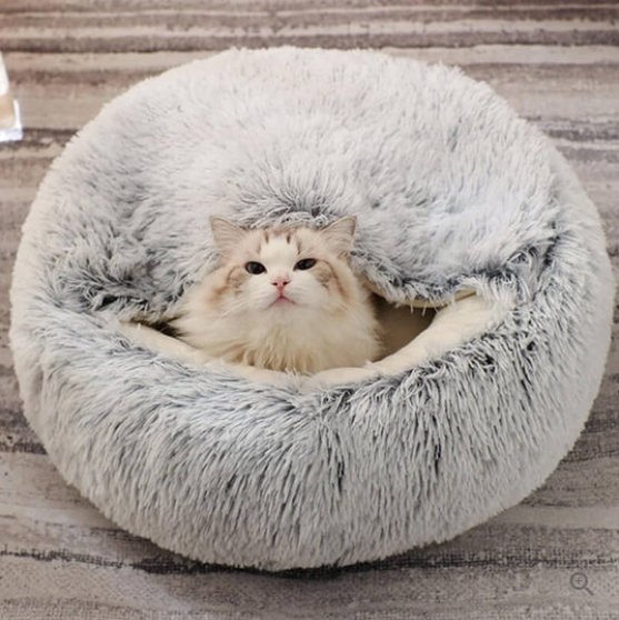 Lit Pour Chien Et Chat Confortable Avec Bord Surélevé 4