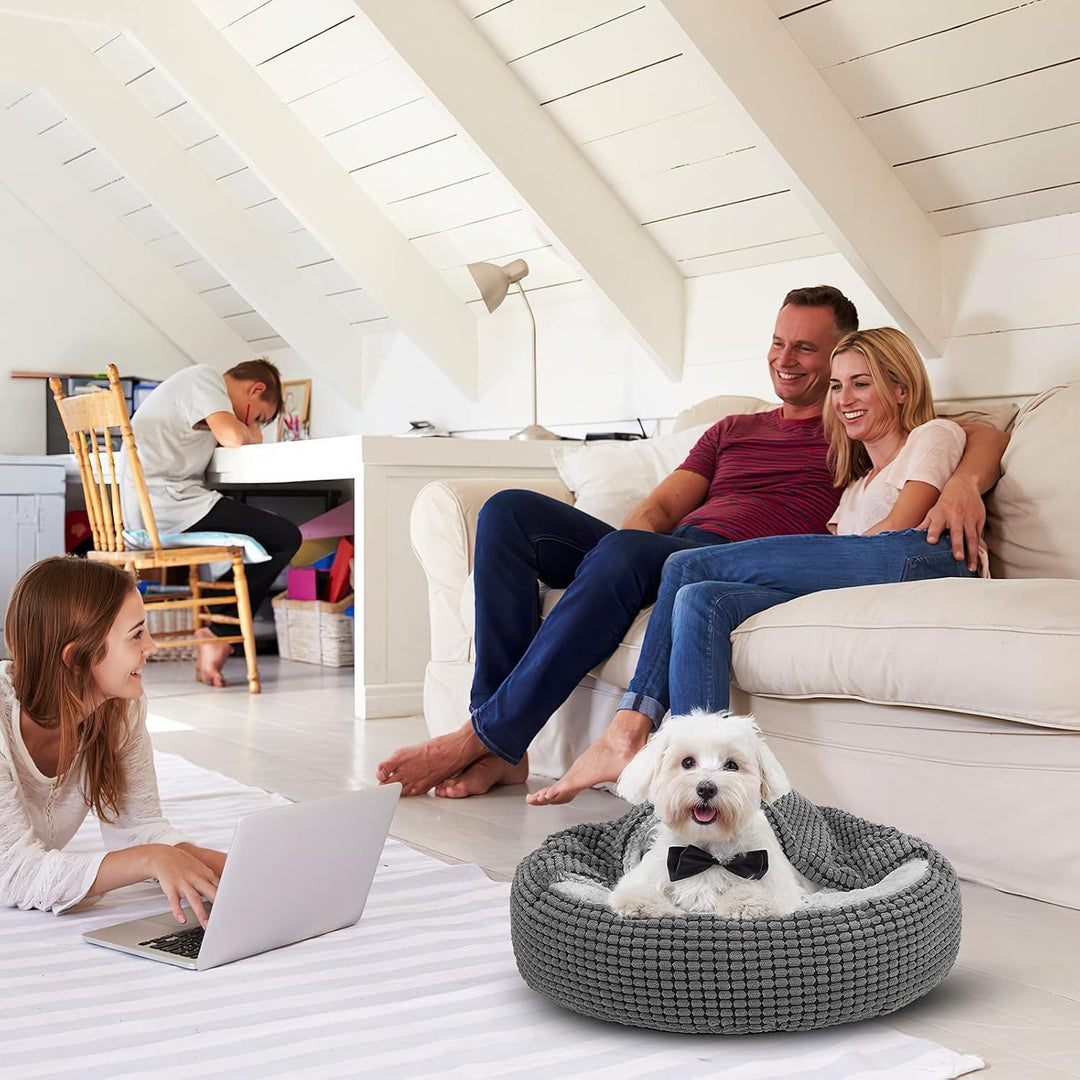 Lit circulaire pour chien confortable et douillet 4