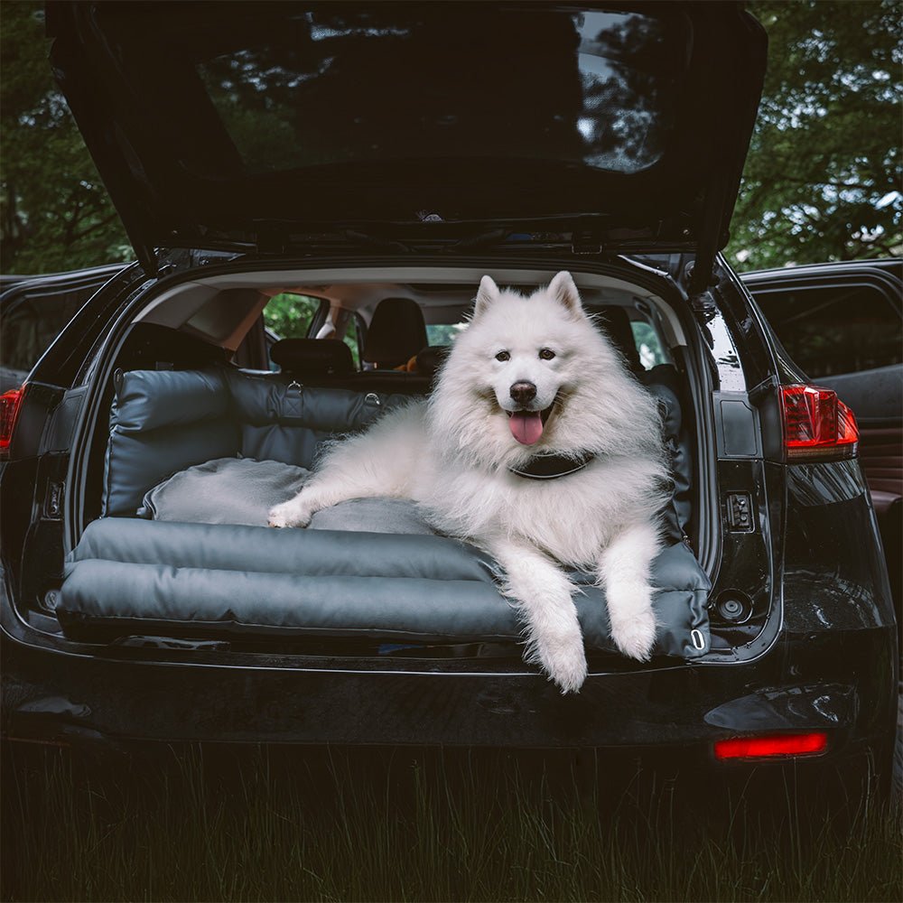 Lit de Siège Auto pour Chien Grand Confort 1
