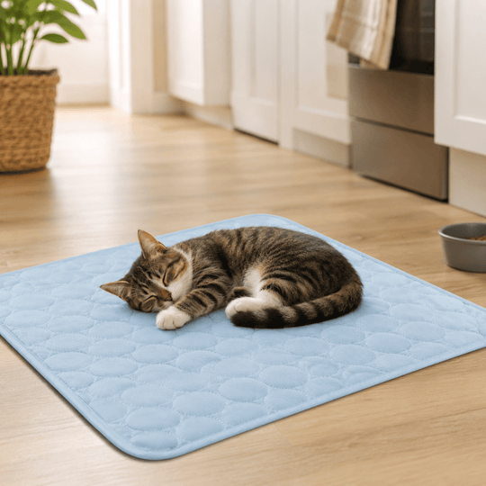 Lit de repos extra large pour animaux 2