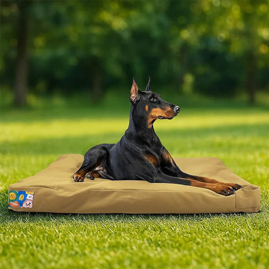 Lit pour Chien Confortable et Robuste avec Coussin Imperméable pour Intérieur et Extérieur 0