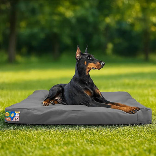 Lit pour Chien Confortable et Robuste avec Coussin Imperméable pour Intérieur et Extérieur 1