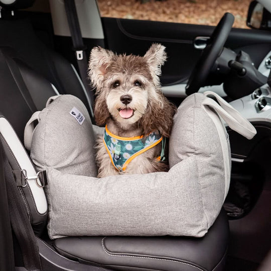 Lit pour Chien avec Ceinture de Sécurité et Base Antidérapante 12