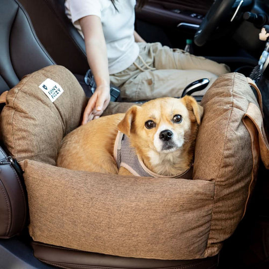 Lit pour Chien avec Ceinture de Sécurité et Base Antidérapante 18