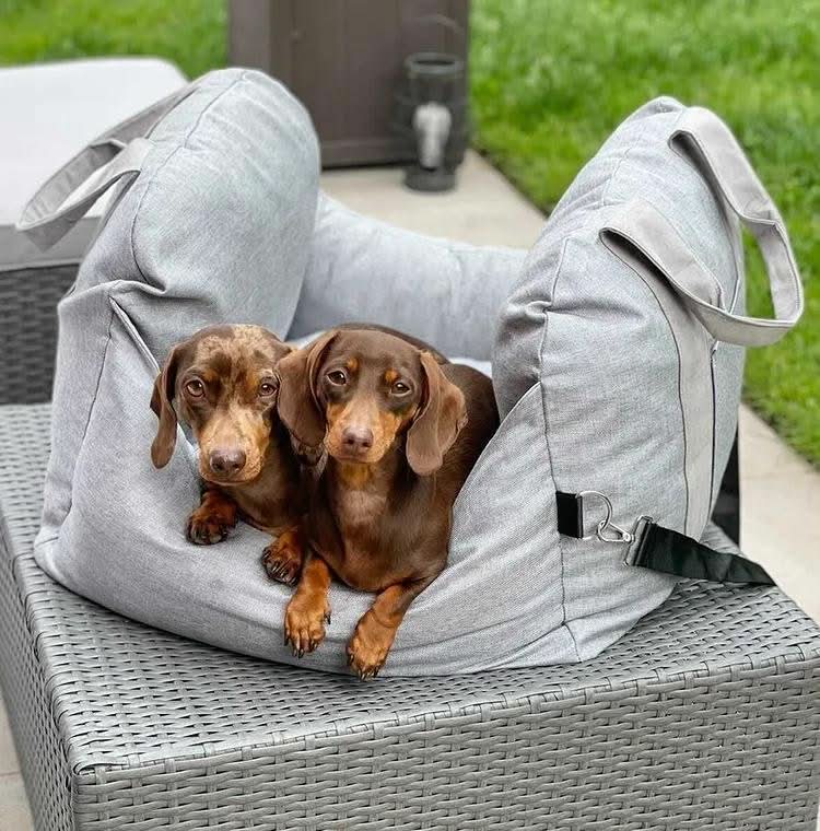 Lit pour Chien avec Ceinture de Sécurité et Base Antidérapante 8