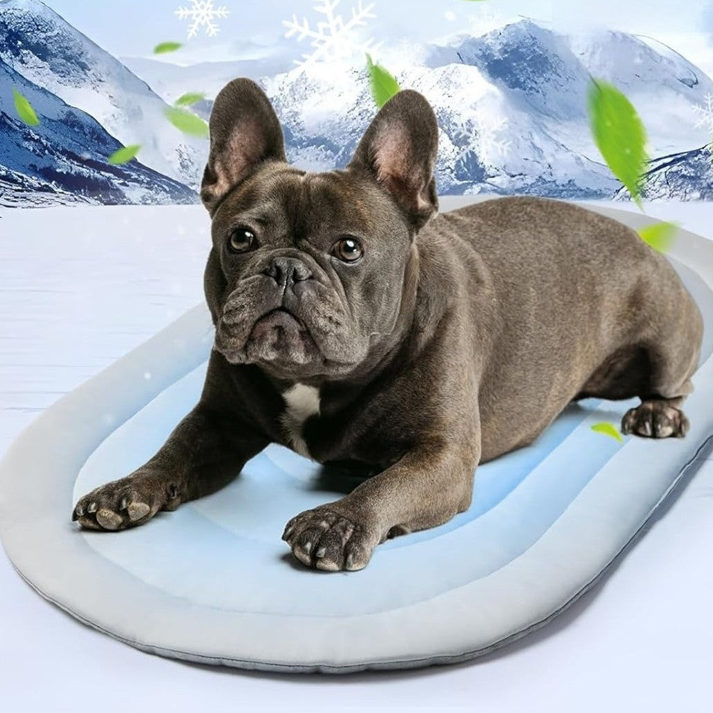 Lit pour animaux de compagnie unisexe confortable et ergonomique 1