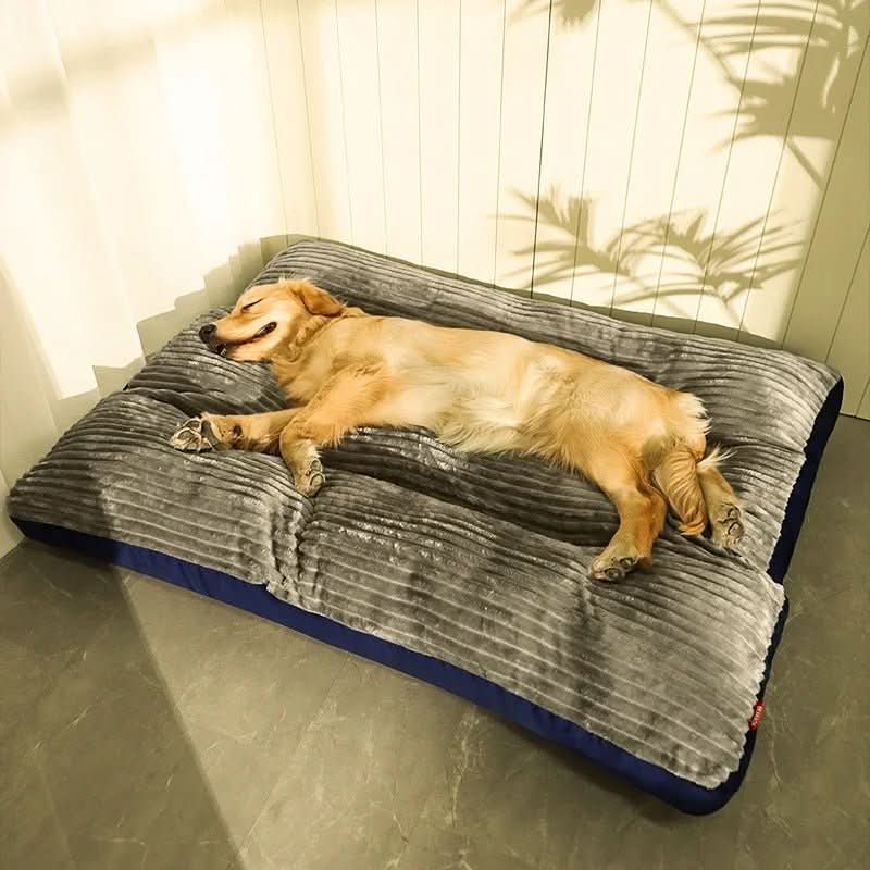 Lit pour chien Confort Douillet 0