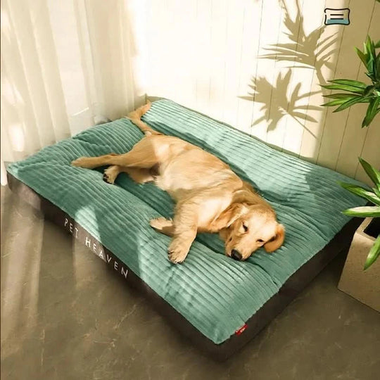 Lit pour chien Confort Douillet 6