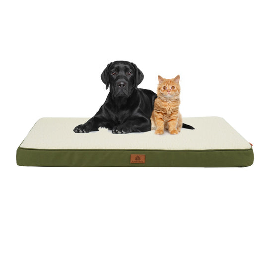 Lit pour chien avec matelas confortable et soutien optimal 4