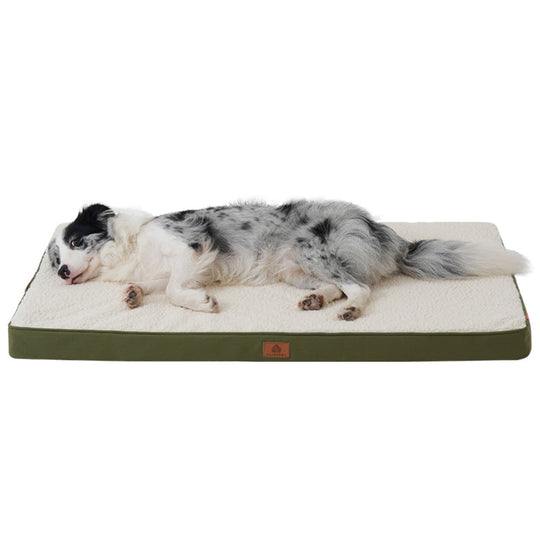 Lit pour chien avec matelas de soutien confortable 3