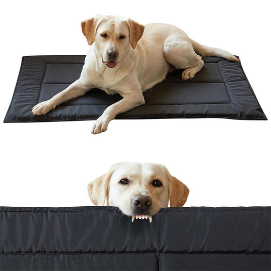 Lit pour chien avec matelas imperméable et durable 0