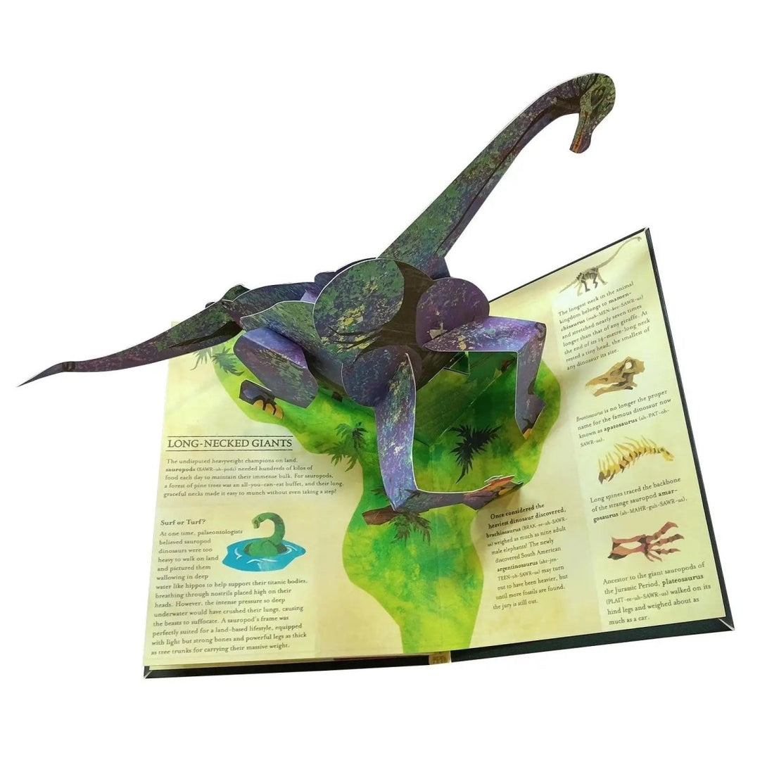 Livre Pop-up 3D Dinosaure Interactif pour Enfants 5