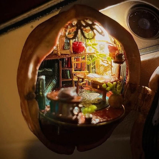 Maison de Poupée Miniature Éclairée en Coquille de Noix 7