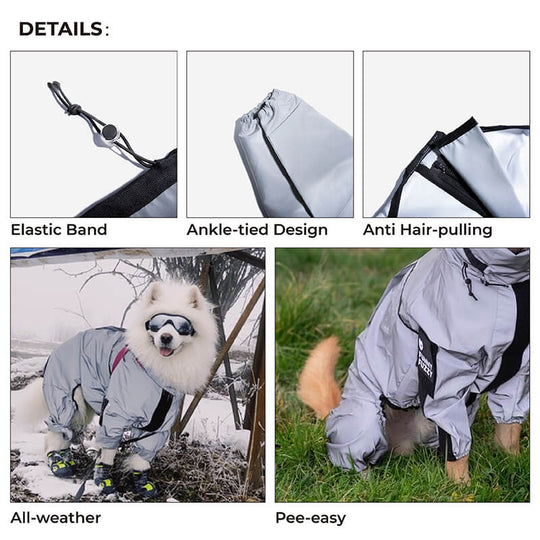 Manteau pour Chien Imperméable et Réfléchissant 4