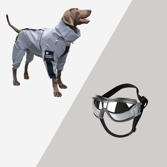 Manteau pour Chien Imperméable et Réfléchissant 9