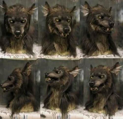 Masque de Loup-Garou Réaliste pour Halloween et Cosplay 1