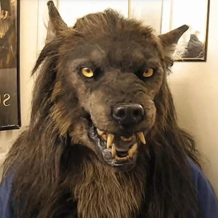 Masque de Loup-Garou Réaliste pour Halloween et Cosplay 2