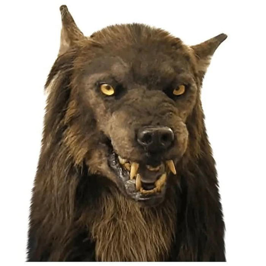 Masque de Loup-Garou Réaliste pour Halloween et Cosplay 3