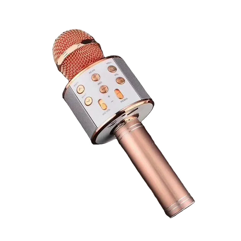 Microphone de Karaoké Portable Multifonctionnel 0