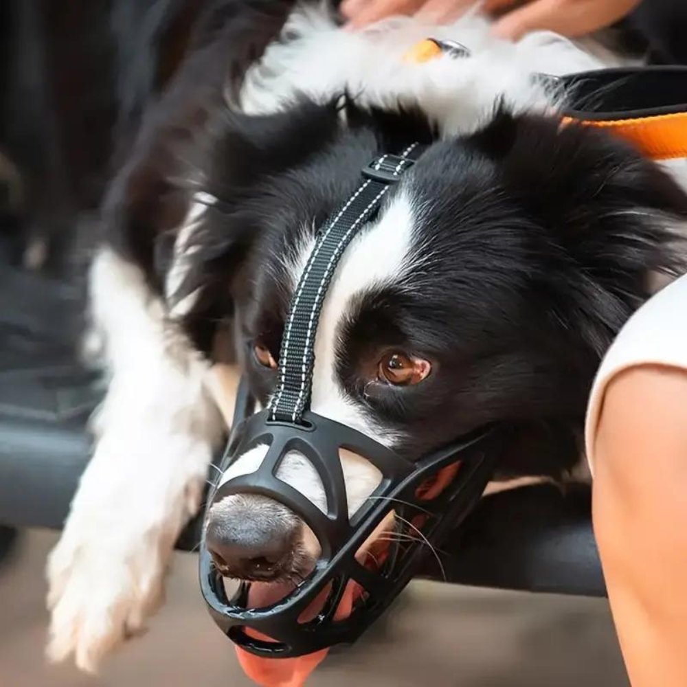Muselière Confortable Pour Chien - Douce et Respirante, Idéale Pour Promenades et Visites Vétérinaires 2