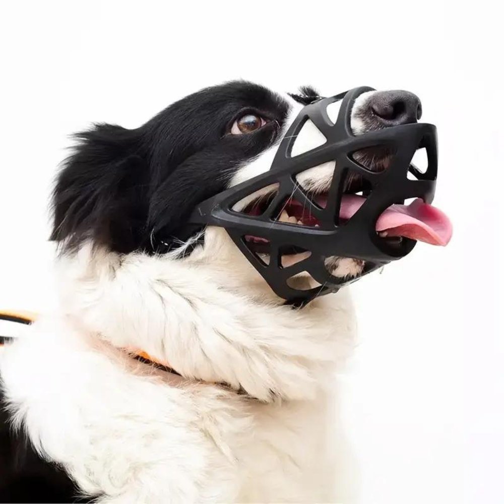 Muselière Confortable Pour Chien - Douce et Respirante, Idéale Pour Promenades et Visites Vétérinaires 3