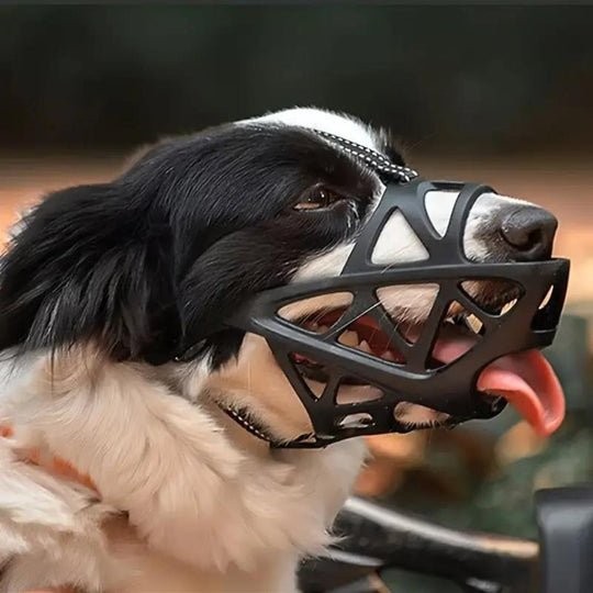 Muselière Confortable Pour Chien - Douce et Respirante, Idéale Pour Promenades et Visites Vétérinaires 7
