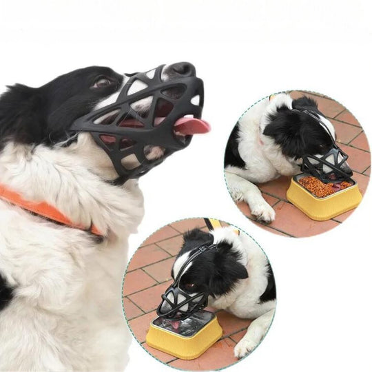 Muselière Confortable Pour Chien - Douce et Respirante, Idéale Pour Promenades et Visites Vétérinaires 8