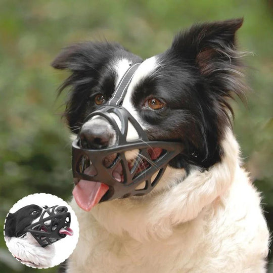 Muselière pour chien Confortable et Respirante 2