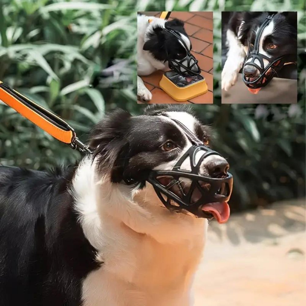 Muselière pour chien Confortable et Respirante 4